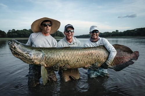 Arapaima Fish