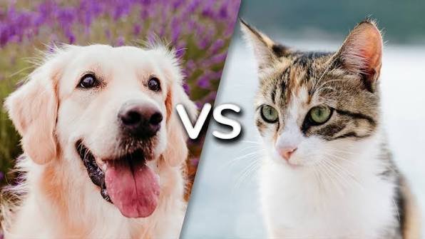 Cats vs Dogs: Which Is Better as a Pet?